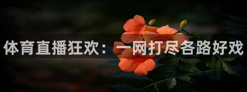 体育直播狂欢：一网打尽各路好戏