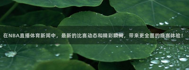 在NBA直播体育新闻中，最新的比赛动态和精彩瞬间，带来更全面的观赛体验！