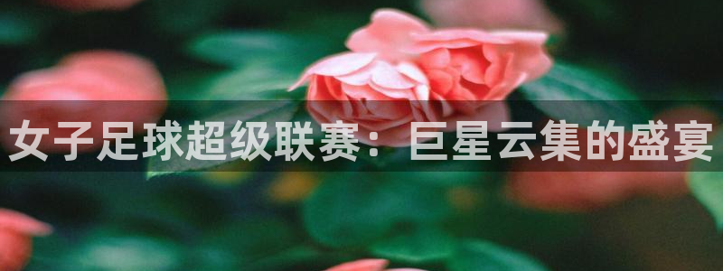 女子足球超级联赛：巨星云集的盛宴