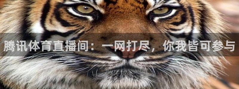 腾讯体育直播间：一网打尽，你我皆可参与
