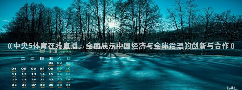 《中央5体育在线直播，全面展示中国经济与全球治理的创新与合作》