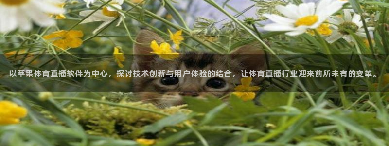 以苹果体育直播软件为中心，探讨技术创新与用户体验的结合，让体育直播行业迎来前所未有的变革。