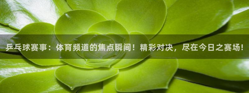 乒乓球赛事：体育频道的焦点瞬间！精彩对决，尽在今日之赛场!