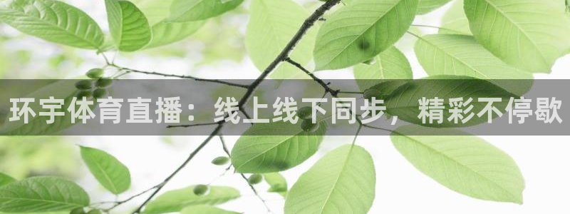 环宇体育直播：线上线下同步，精彩不停歇