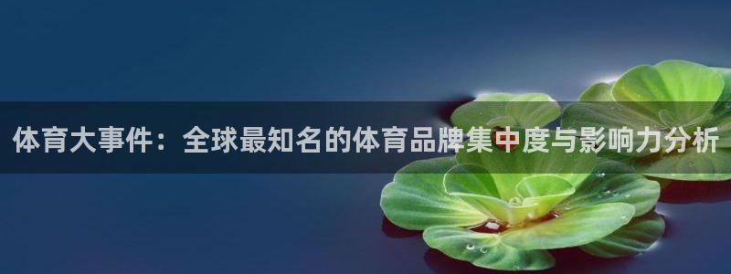 体育大事件：全球最知名的体育品牌集中度与影响力分析