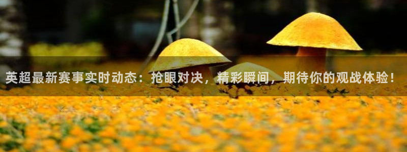 英超最新赛事实时动态：抢眼对决，精彩瞬间，期待你的观战体验！