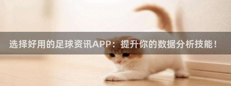 选择好用的足球资讯APP：提升你的数据分析技能！