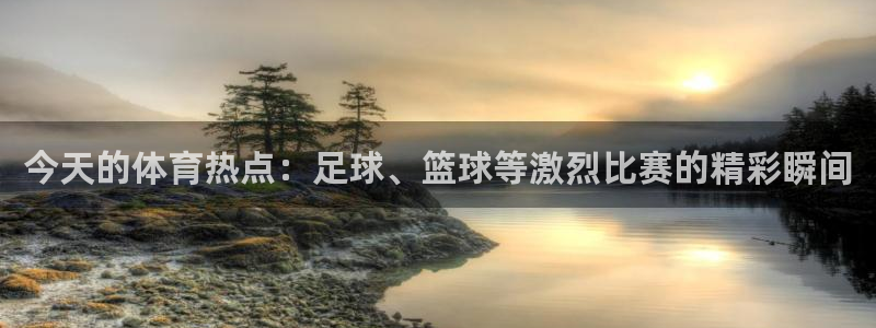 今天的体育热点：足球、篮球等激烈比赛的精彩瞬间