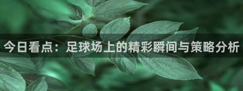 今日看点：足球场上的精彩瞬间与策略分析