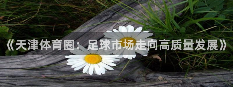 《天津体育圈：足球市场走向高质量发展》