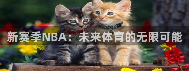 新赛季NBA：未来体育的无限可能