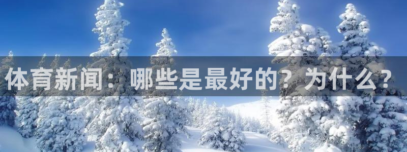 体育新闻：哪些是最好的？为什么？