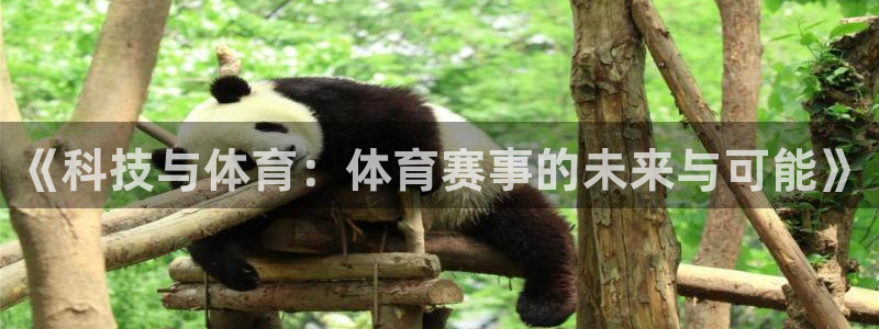 《科技与体育：体育赛事的未来与可能》