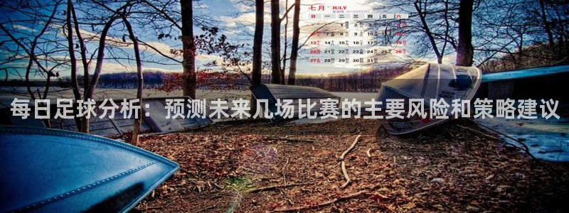 每日足球分析：预测未来几场比赛的主要风险和策略建议