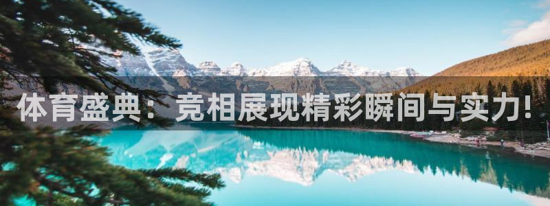 体育盛典：竞相展现精彩瞬间与实力!