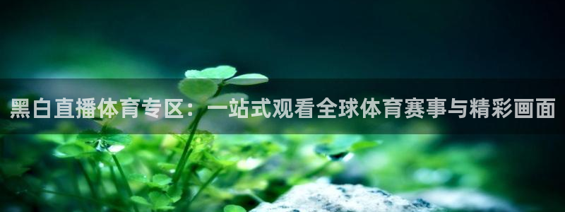 黑白直播体育专区：一站式观看全球体育赛事与精彩画面