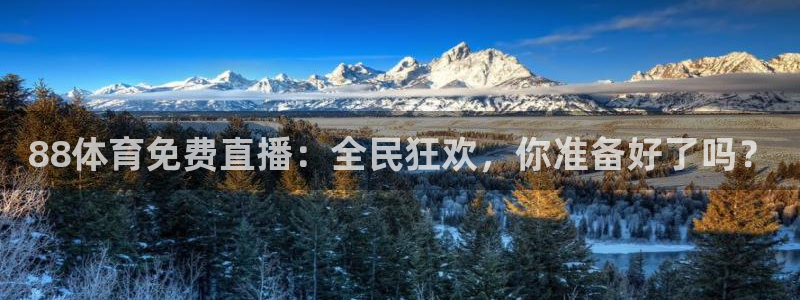 88体育免费直播：全民狂欢，你准备好了吗？