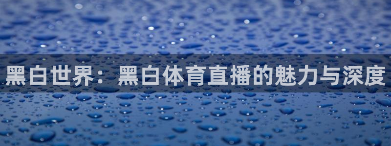 黑白世界：黑白体育直播的魅力与深度