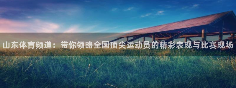 山东体育频道：带你领略全国顶尖运动员的精彩表现与比赛现场