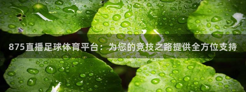 875直播足球体育平台：为您的竞技之路提供全方位支持