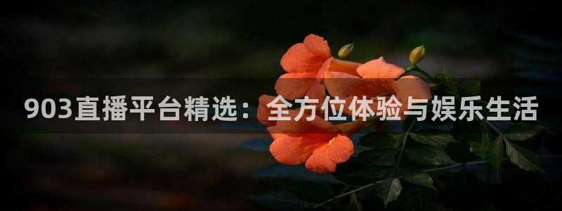903直播平台精选：全方位体验与娱乐生活
