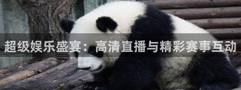 超级娱乐盛宴：高清直播与精彩赛事互动