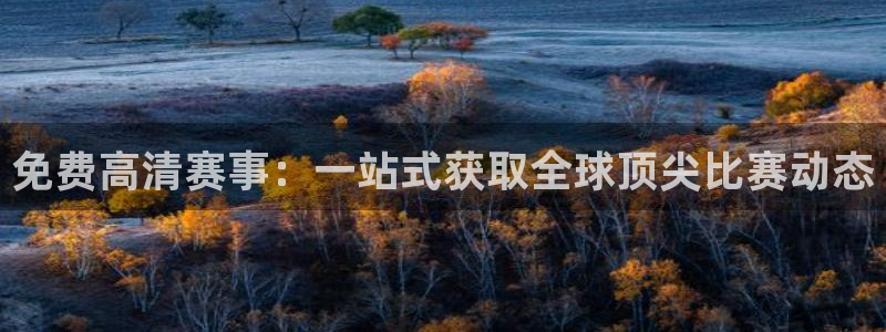 免费高清赛事：一站式获取全球顶尖比赛动态