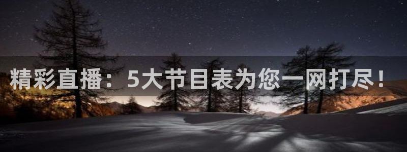 精彩直播：5大节目表为您一网打尽！