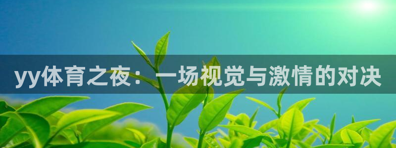yy体育之夜：一场视觉与激情的对决