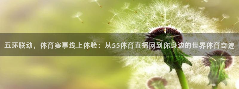 五环联动，体育赛事线上体验：从55体育直播网到你身边的世界体育奇迹