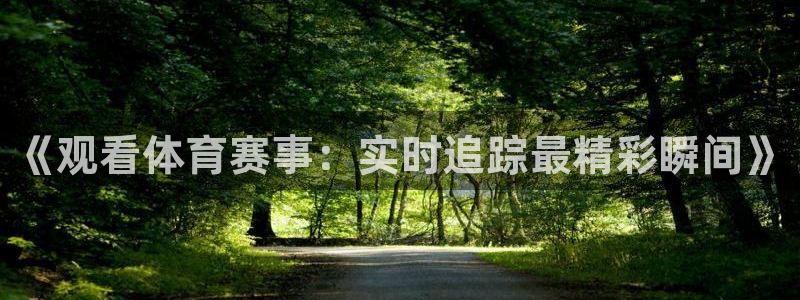 《观看体育赛事：实时追踪最精彩瞬间》