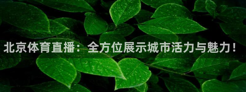 北京体育直播：全方位展示城市活力与魅力！