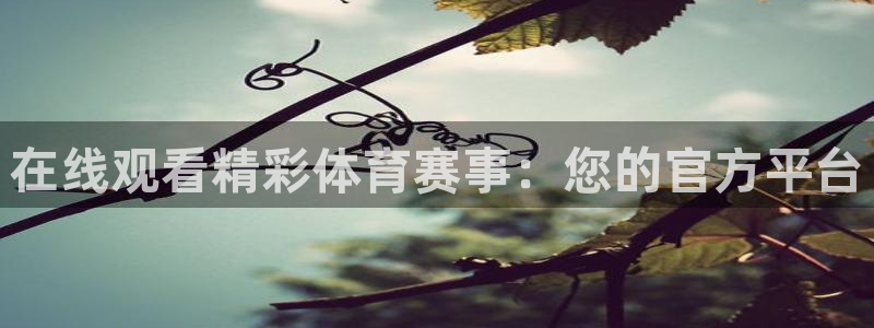 在线观看精彩体育赛事：您的官方平台