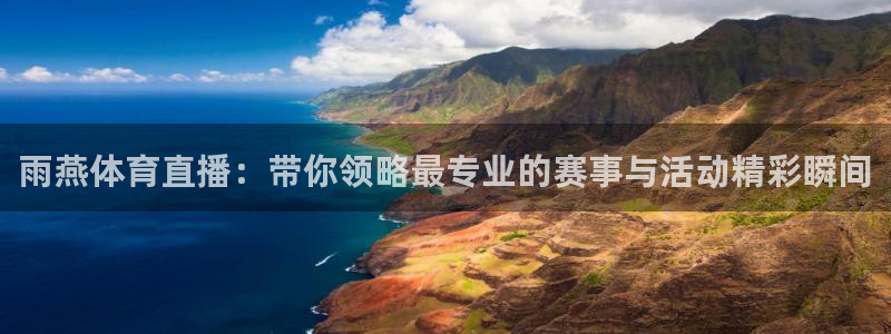 雨燕体育直播：带你领略最专业的赛事与活动精彩瞬间