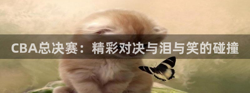 CBA总决赛：精彩对决与泪与笑的碰撞
