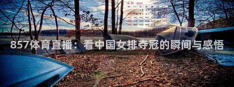 857体育直播：看中国女排夺冠的瞬间与感悟