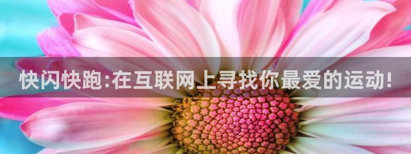 快闪快跑:在互联网上寻找你最爱的运动!