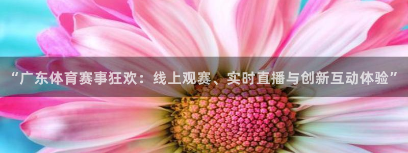 “广东体育赛事狂欢：线上观赛、实时直播与创新互动体验”