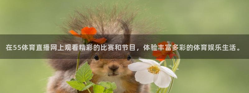 在55体育直播网上观看精彩的比赛和节目，体验丰富多彩的体育娱乐生活。