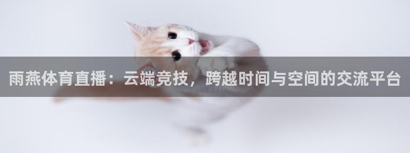 雨燕体育直播：云端竞技，跨越时间与空间的交流平台