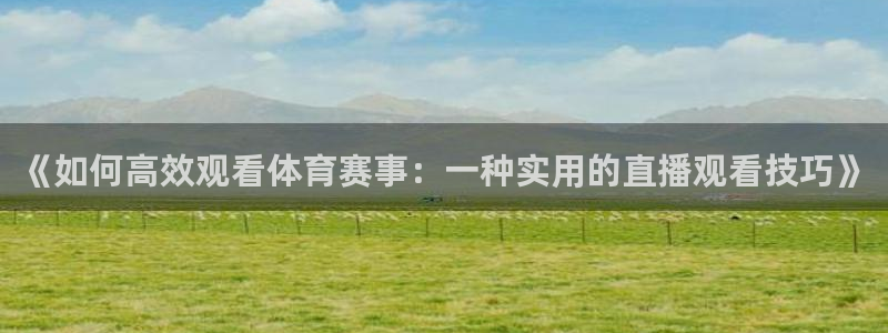 《如何高效观看体育赛事：一种实用的直播观看技巧》