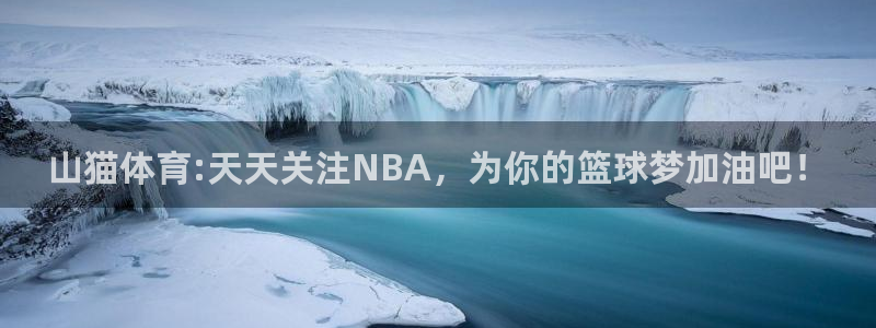山猫体育:天天关注NBA，为你的篮球梦加油吧！