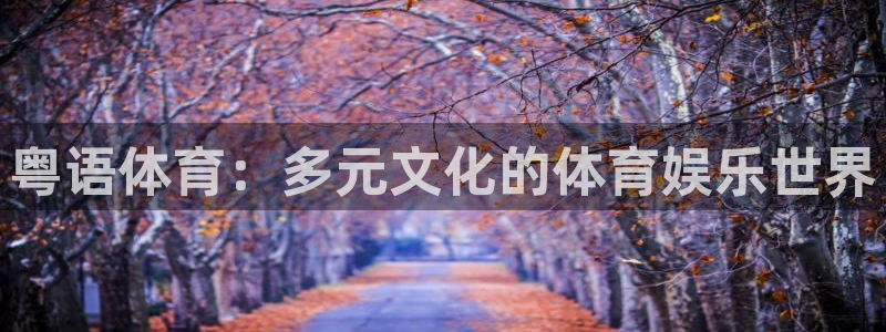 粤语体育：多元文化的体育娱乐世界
