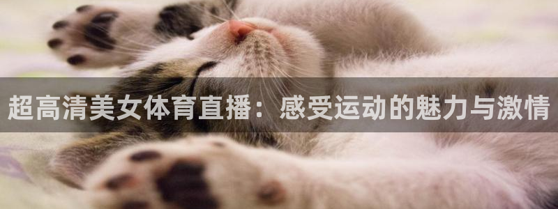 超高清美女体育直播：感受运动的魅力与激情