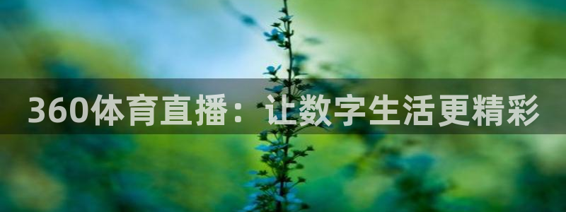 360体育直播：让数字生活更精彩