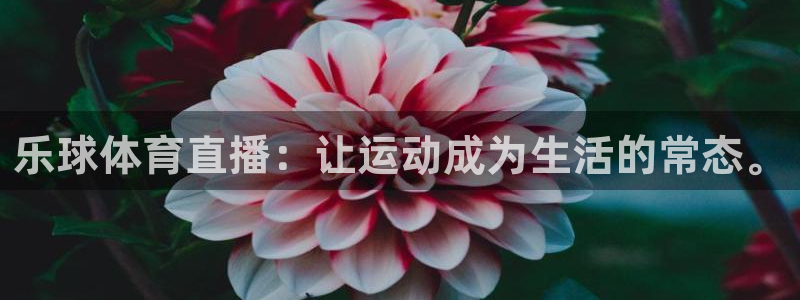 乐球体育直播：让运动成为生活的常态。