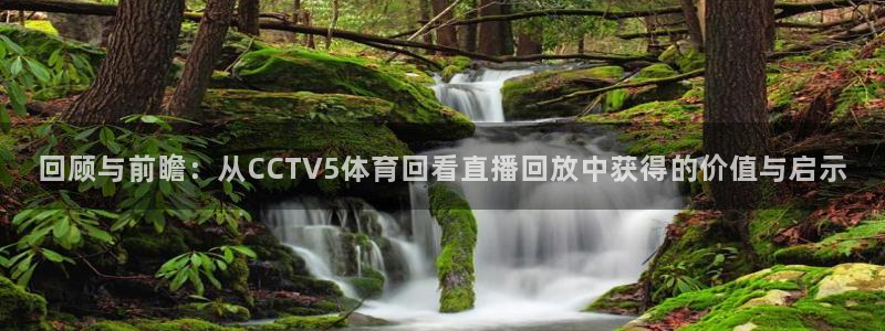 回顾与前瞻：从CCTV5体育回看直播回放中获得的价值与启示