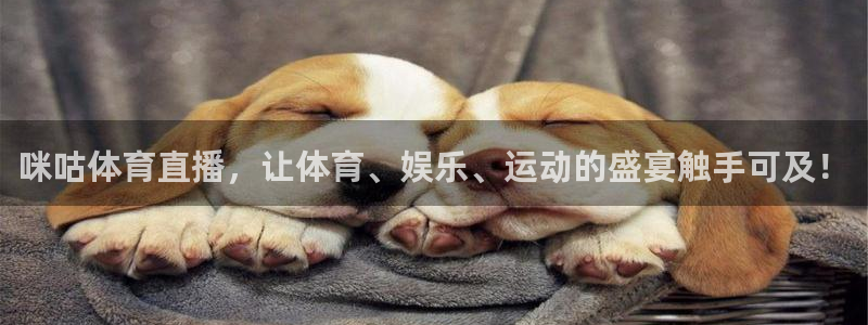 咪咕体育直播，让体育、娱乐、运动的盛宴触手可及！